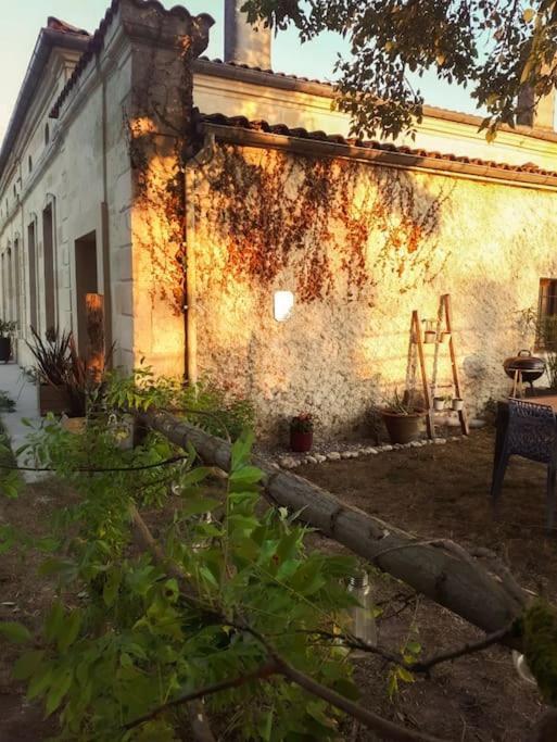 Gite A La Ferme Chaleureux Apartment Civrac-de-Blaye ภายนอก รูปภาพ